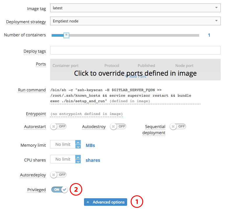 Enable Privileged Mode for your GitLab CI Runner Service