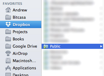what is a dropbox public folder